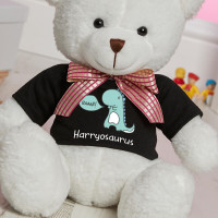 Personalised 'Boys Dinosaurus' White Millie Bear